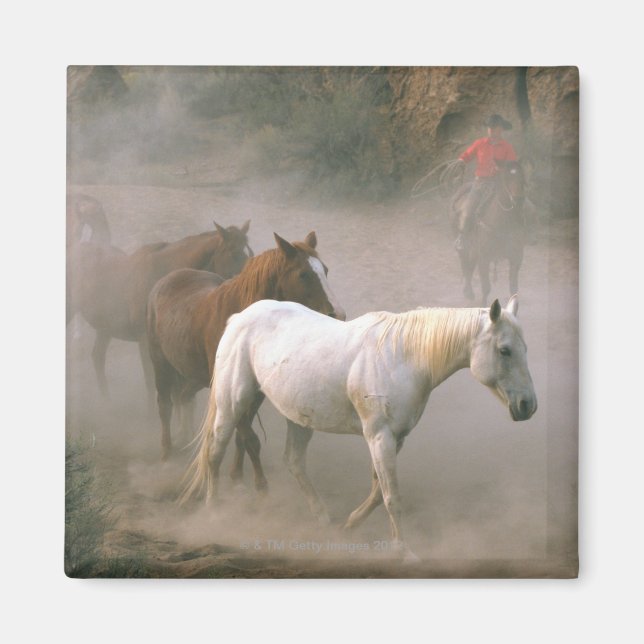 Wrangler with horses magnet (Front)