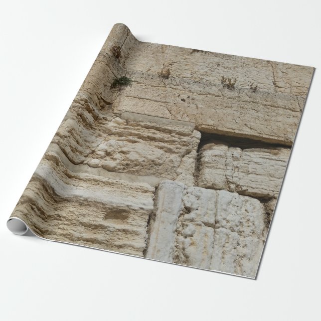 Wrap Wrapping Paper (Unrolled)