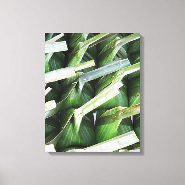 Wrapped Banana Leaf Packets Canvas Print (Front)