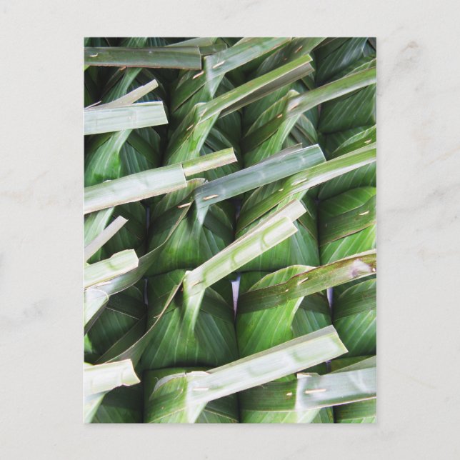 Wrapped Banana Leaf Packets Postcard (Front)