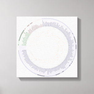 wrapped canvas A phylogenetic tree of life Chart