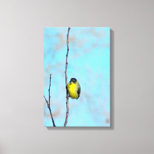 Wrapped Canvas - Angry Finch
