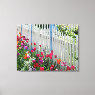 wrapped canvas tulips garden white picket fence