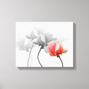Wrapped Canvas with Black & White Roses, One Pink