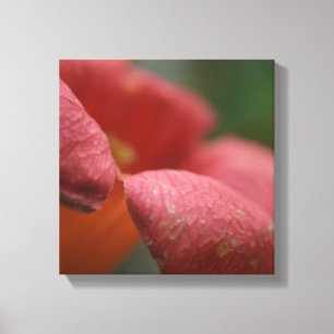 Wrapped canvus close up flowers canvas print