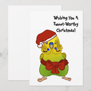 Wrapped-in-a-Bow Budgie Christmas Flat Card