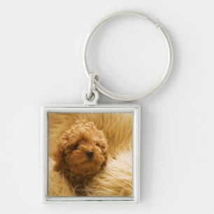 Wrapped up Poodle Keychain