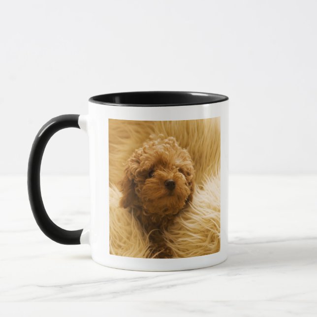 Wrapped up Poodle Mug (Left)
