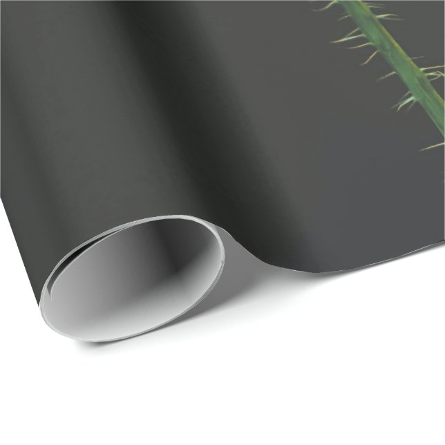 wrapping paper (Roll Corner)