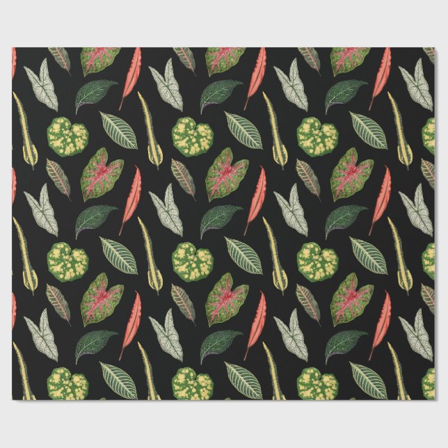 Wrapping Paper (Flat)