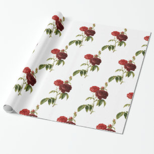 Wrapping Paper, 30" x 6' HAPPY SEED ROSE Paper