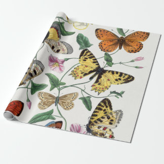 Wrapping Paper Butterfly Vintage Illustration