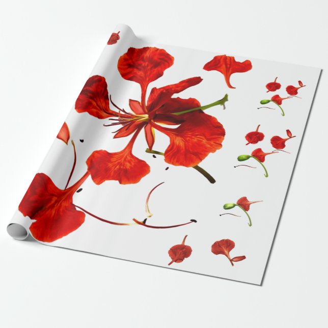 Wrapping Paper Royal Poinciana (Unrolled)