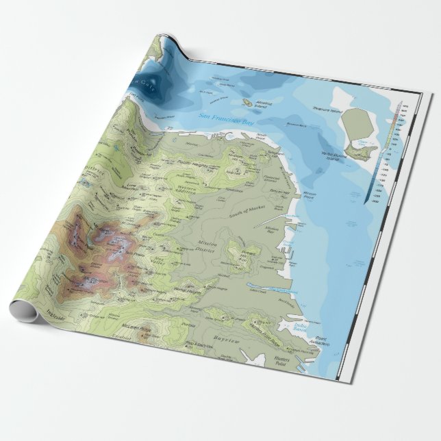 Wrapping Paper - San Francisco Topo (Unrolled)