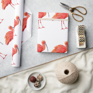 Wrapping Paper : Scarlet Ibis