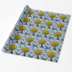Wrapping paper white Chrysanthemum