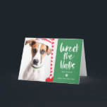 Wreck The Halls Editable Colour Pet Holiday Card<br><div class="desc">Celebrate the season with this modern and stylish card from Berry Berry Sweet. Visit our website: www.berryberrysweet.com to learn more about us and what we offer. Matching items and more design options are available at our store. Design colours can be customized! Click "Customize Further" to change the design colours.</div>