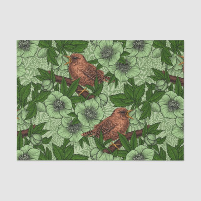 Wren and hellebore, light green tissue paper (Front)