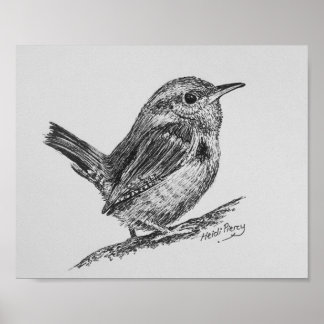 Wren Bird Art Poster