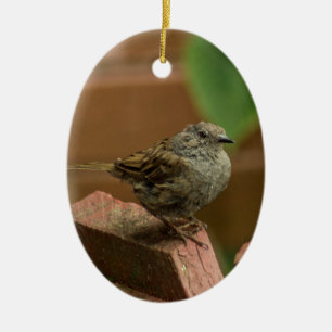 Wren bird ceramic ornament