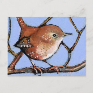 WREN, BIRD, in Oil Pastel Postcard