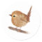 Wren Bird Personalized 
