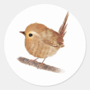 Wren Bird Personalized Classic Round Sticker