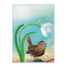 Wren Bird Sing at Dawn In the Spring 