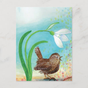 Wren Bird Sing at Dawn In the Spring Postcard