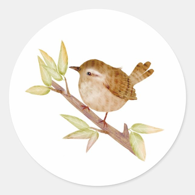 Wren Bird Stickers (Front)