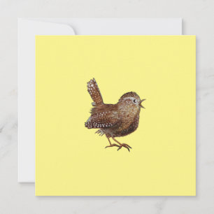 Wren Bird (Troglodytes Troglodytes)  Card