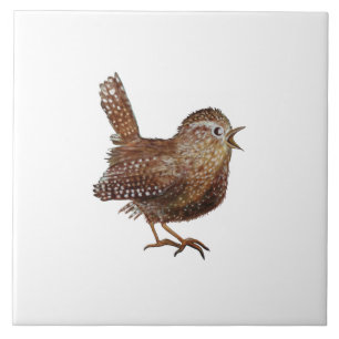 Wren Bird (Troglodytes Troglodytes) Illustration Tile