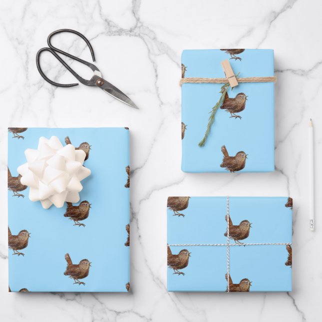 Wren Bird (Troglodytes Troglodytes) Light Blue Wrapping Paper Sheet (Front)