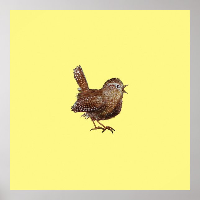 Wren Bird (Troglodytes Troglodytes) Poster (Front)