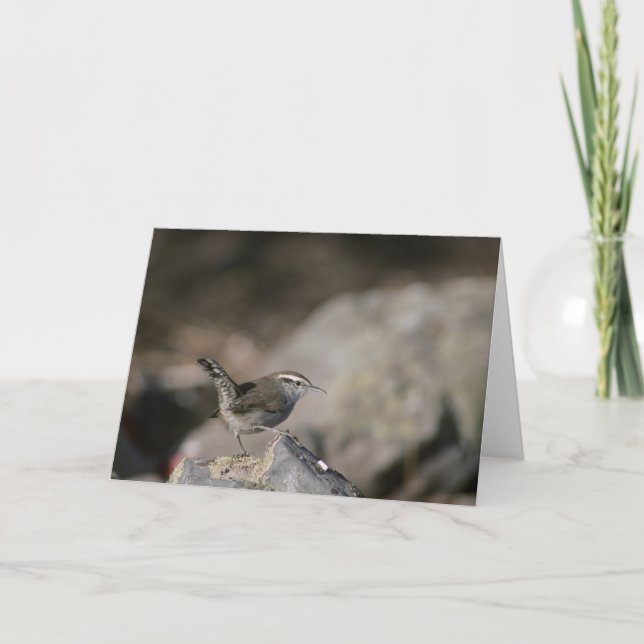 Wren Card (Front)