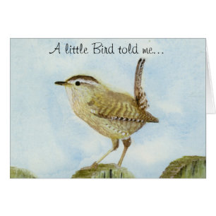 Wren Congratulations