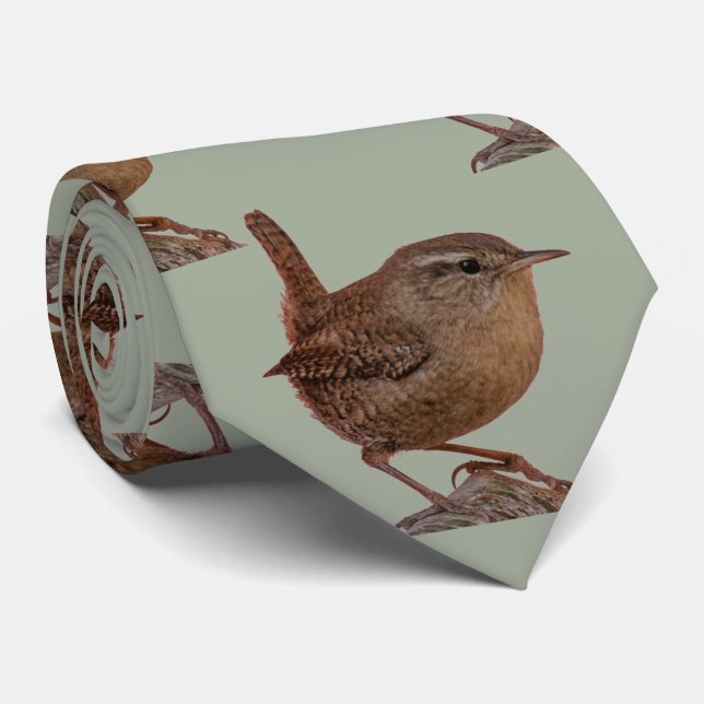 Wren Neck Tie (Rolled)