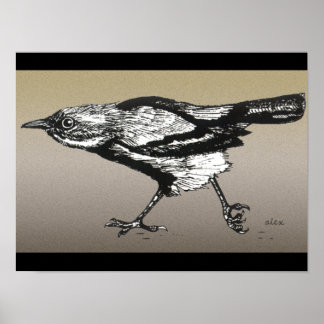 Wren on the Run Poster