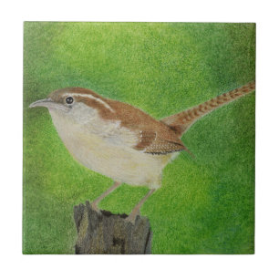 Wren Tile