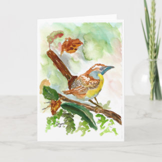 Wren watercolor blank card