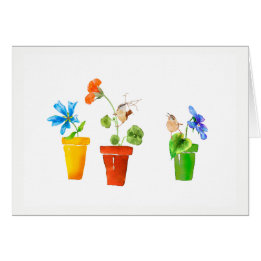 Wrens and Flowerpots