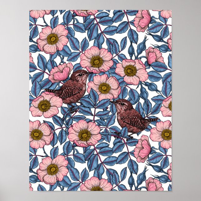 Wrens in the roses poster (Front)