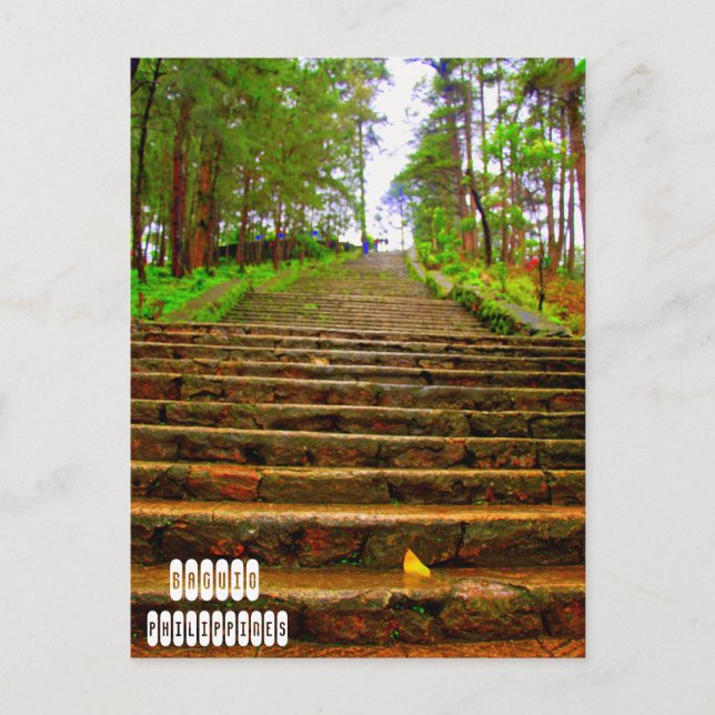Wright Park in Baguio Postcard (Front)