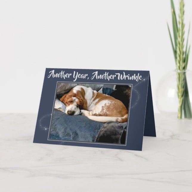 Wrinkled Basset Hound On Cute Birthday Card (Front)