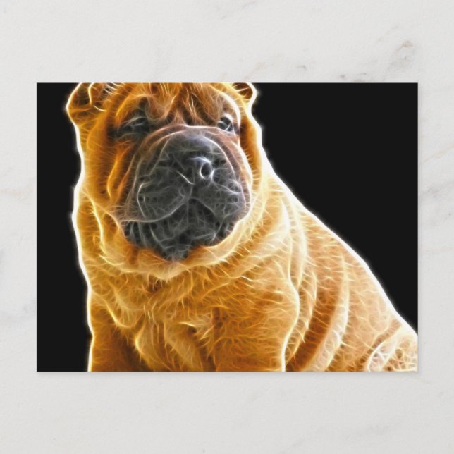 Wrinkles, The Chinese Shar Pei Puppy Dog Postcard (Front)