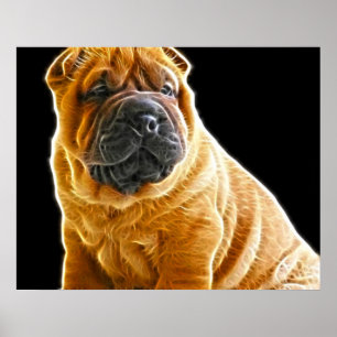 Wrinkles, The Chinese Shar Pei Puppy Dog Poster