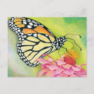 Write postcards to Democrats -Butterfly Brigade