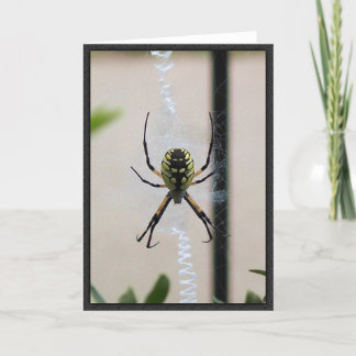 Writing Spider Card