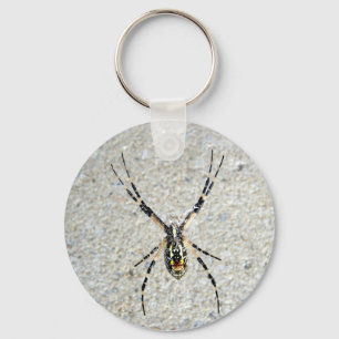 Writing Spider Keychain
