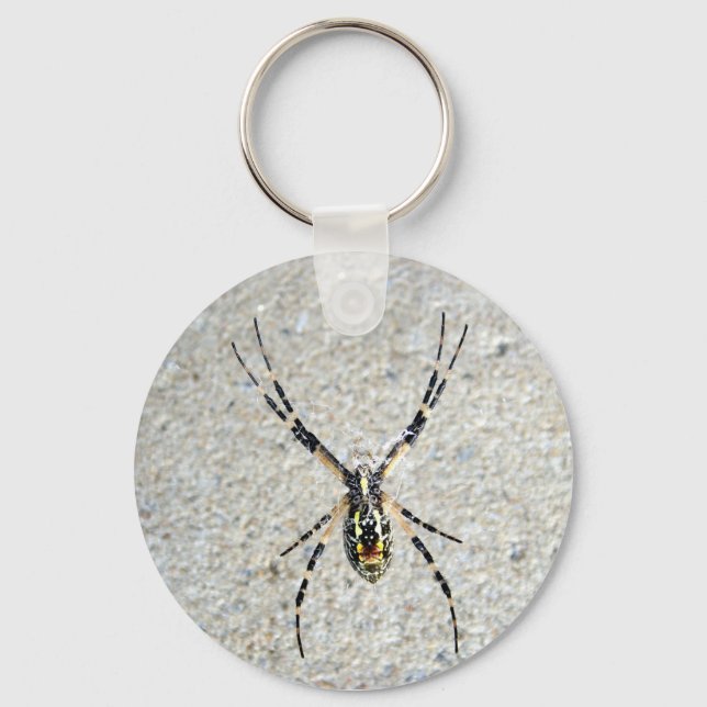 Writing Spider Keychain (Front)